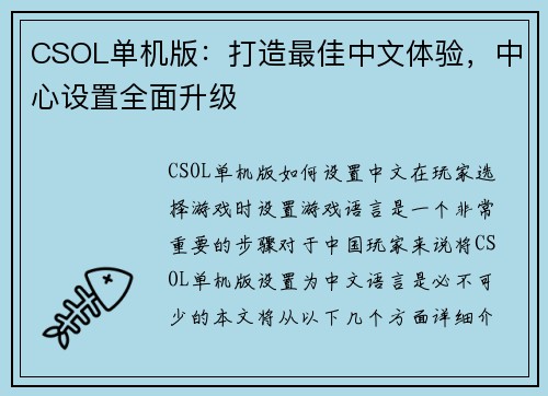 CSOL单机版：打造最佳中文体验，中心设置全面升级